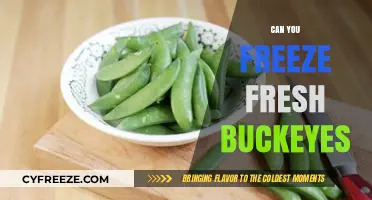 Preserving Nature's Bounty: The Art of Freezing Fresh Buckeyes