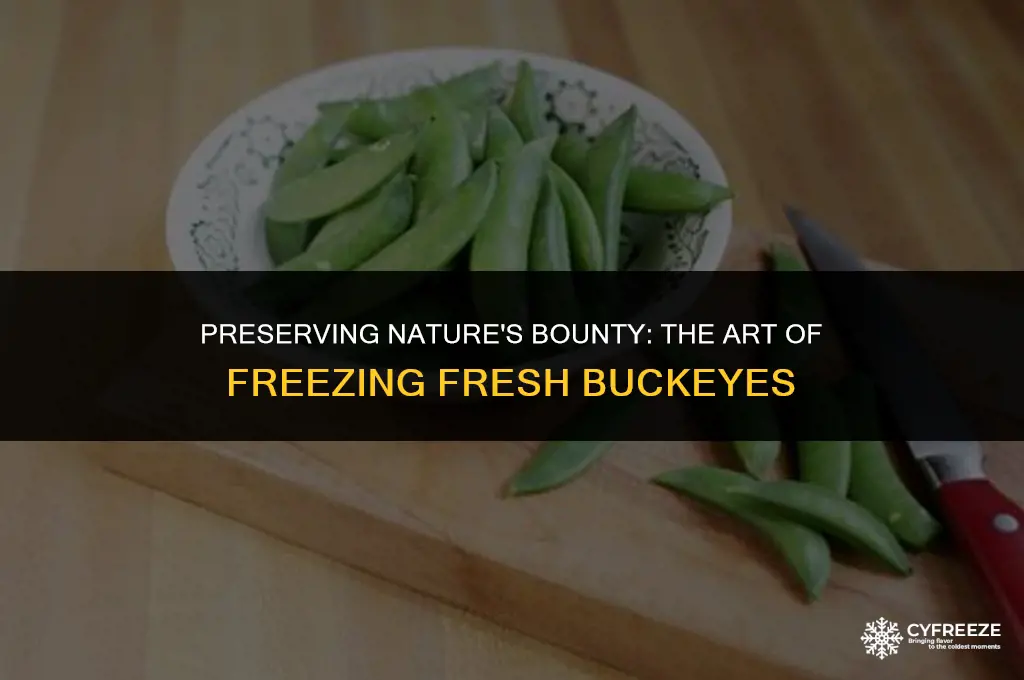 can you freeze fresh buckeyes