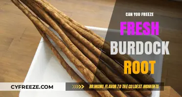 Preserving Nature's Bounty: A Guide to Freezing Fresh Burdock Root