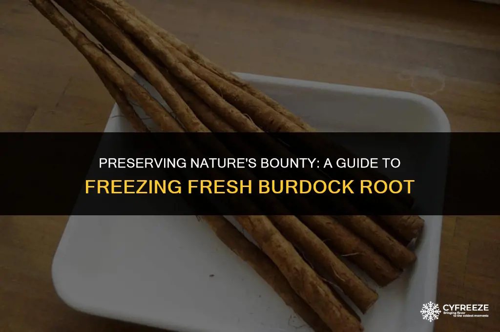 can you freeze fresh burdock root
