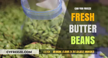 Preserving Freshness: The Ultimate Guide to Freezing Butter Beans