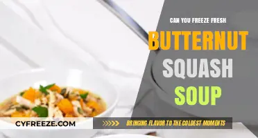 Preserve the Flavor: Freezing Fresh Butternut Squash Soup Made Easy
