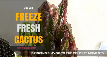 Preserving Nature's Prickly Delights: Can You Freeze Fresh Cactus?