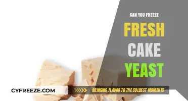 The Ultimate Guide to Freezing Fresh Cake Yeast for Bakers