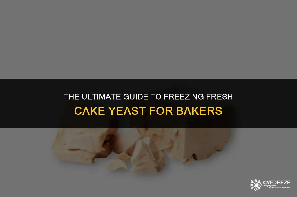 can you freeze fresh cake yeast