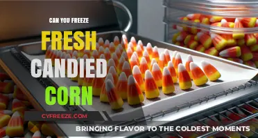 Sweet Preservation: The Ultimate Guide to Freezing Fresh Candied Corn
