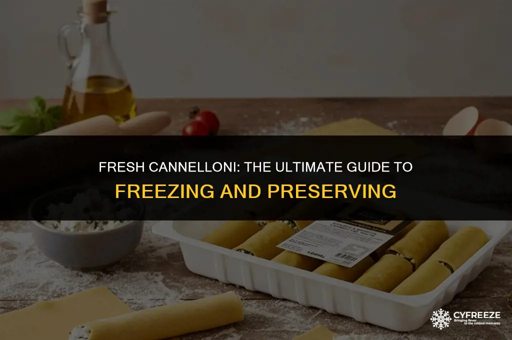 can you freeze fresh cannelloni