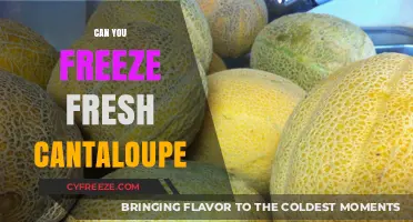 Fresh Cantaloupe: A Guide to Freezing for Optimal Taste and Texture