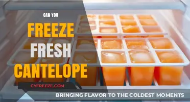 Fresh to Frozen: The Ultimate Guide to Freezing Cantaloupe