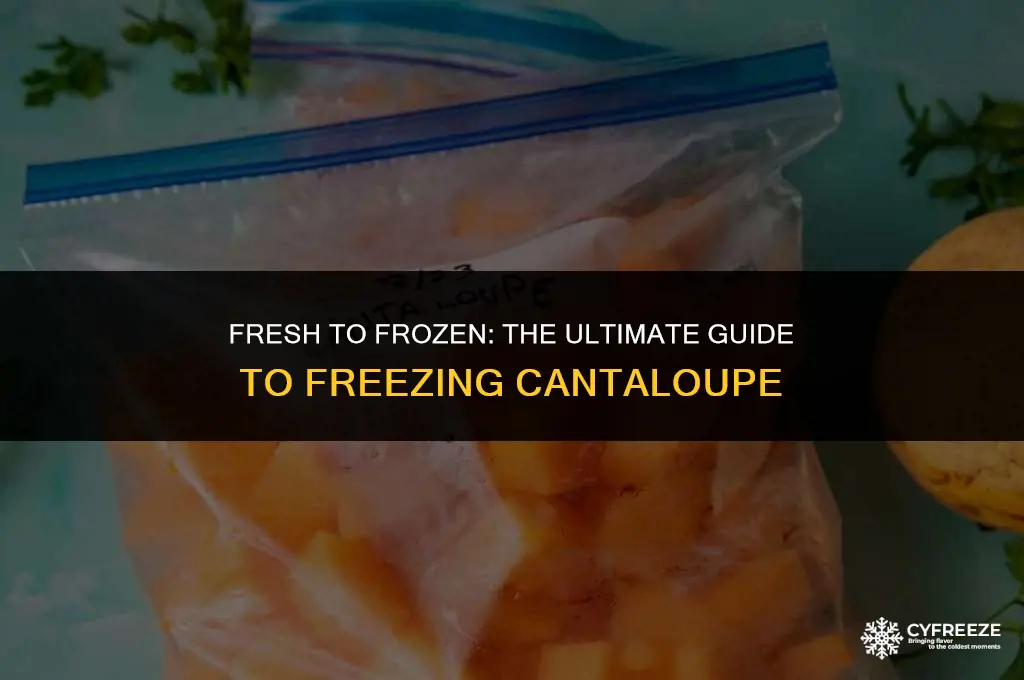 can you freeze fresh cantelope