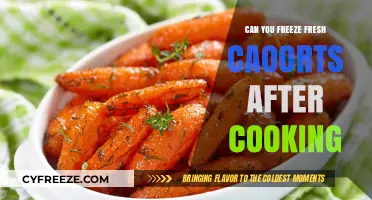 Reviving Freshness: The Ultimate Guide to Freezing Cooked Carrots