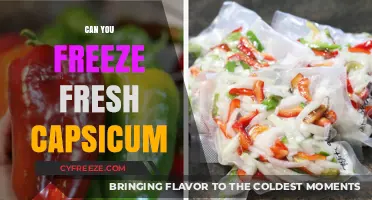 Preserving Freshness: The Ultimate Guide to Freezing Capsicum