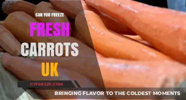 Fresh Carrots in the Freezer: A UK Guide to Preservation