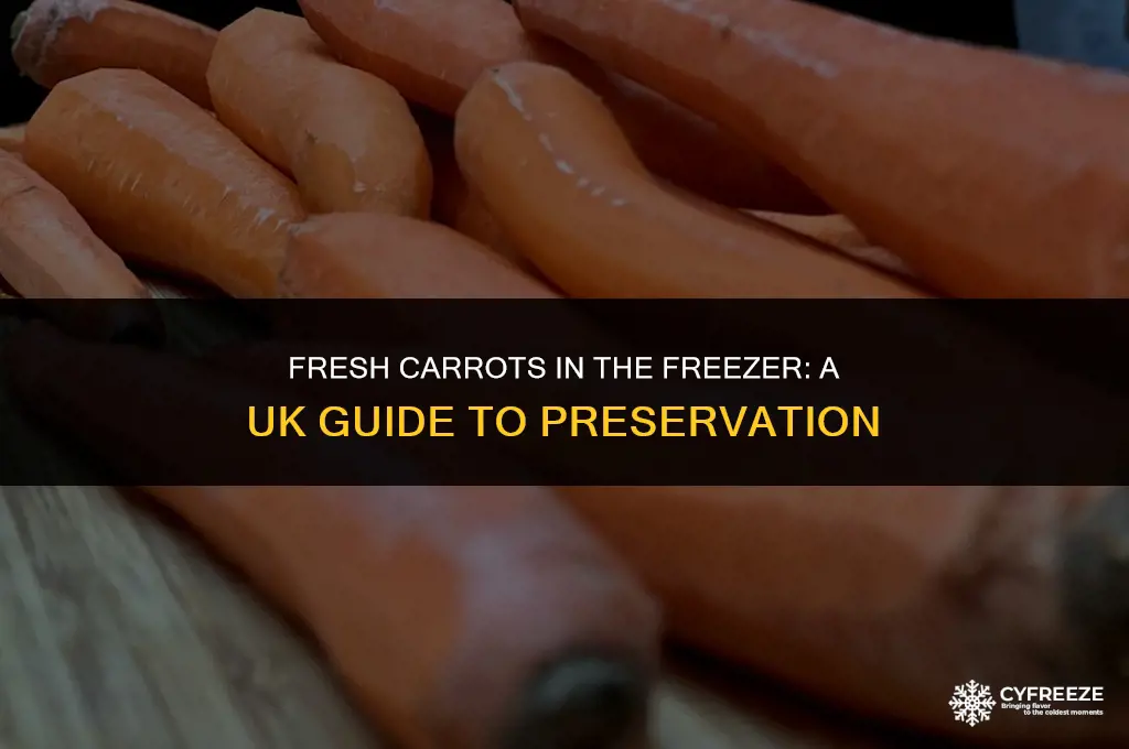 can you freeze fresh carrots uk