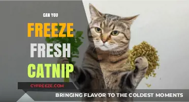 Preserving Kitty's Favorite Herb: The Ultimate Guide to Freezing Fresh Catnip