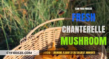 Preserving Nature's Bounty: The Ultimate Guide to Freezing Fresh Chanterelles