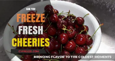 Cherry Preservation: The Ultimate Guide to Freezing Fresh Cherries