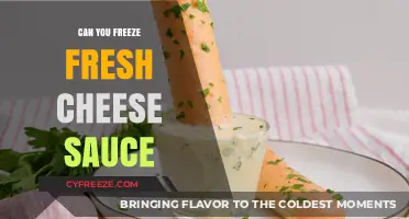 From Fresh to Frozen: The Ultimate Guide to Freezing Cheese Sauce
