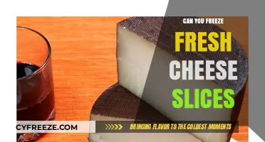 From Fridge to Freezer: The Ultimate Guide to Freezing Fresh Cheese Slices