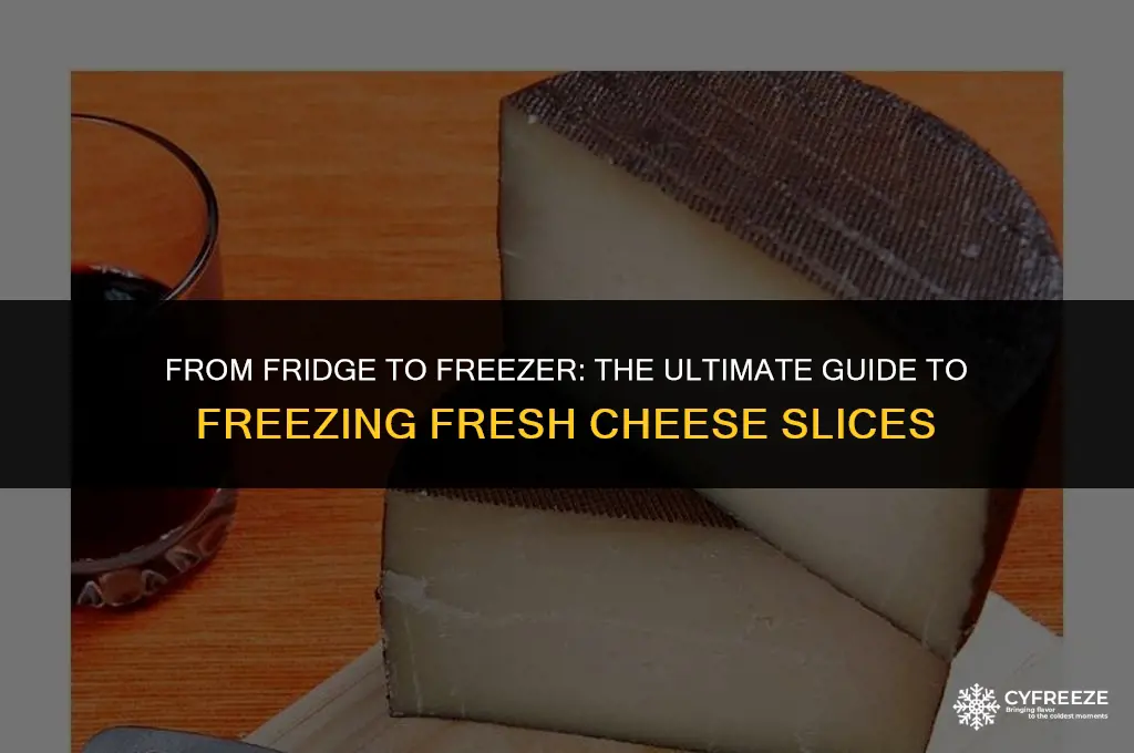 can you freeze fresh cheese slices