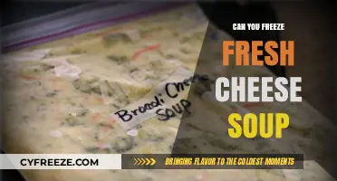 Preserving Freshness: The Ultimate Guide to Freezing Cheese Soup