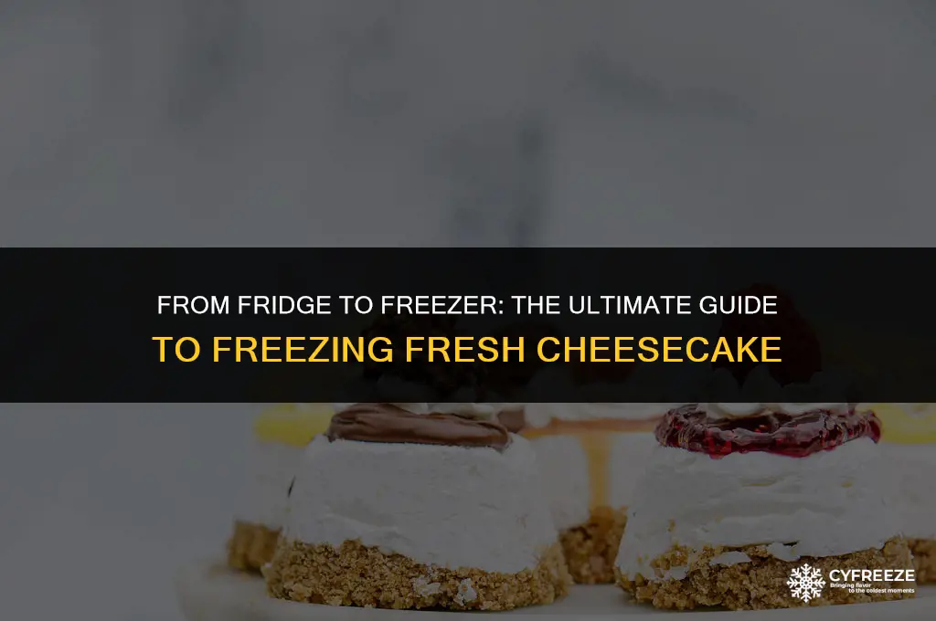 can you freeze fresh cheesecaxk