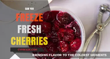 Cherry Preservation: The Ultimate Guide to Freezing Fresh Cherries