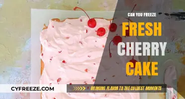 Preserving Perfection: The Art of Freezing Fresh Cherry Cake