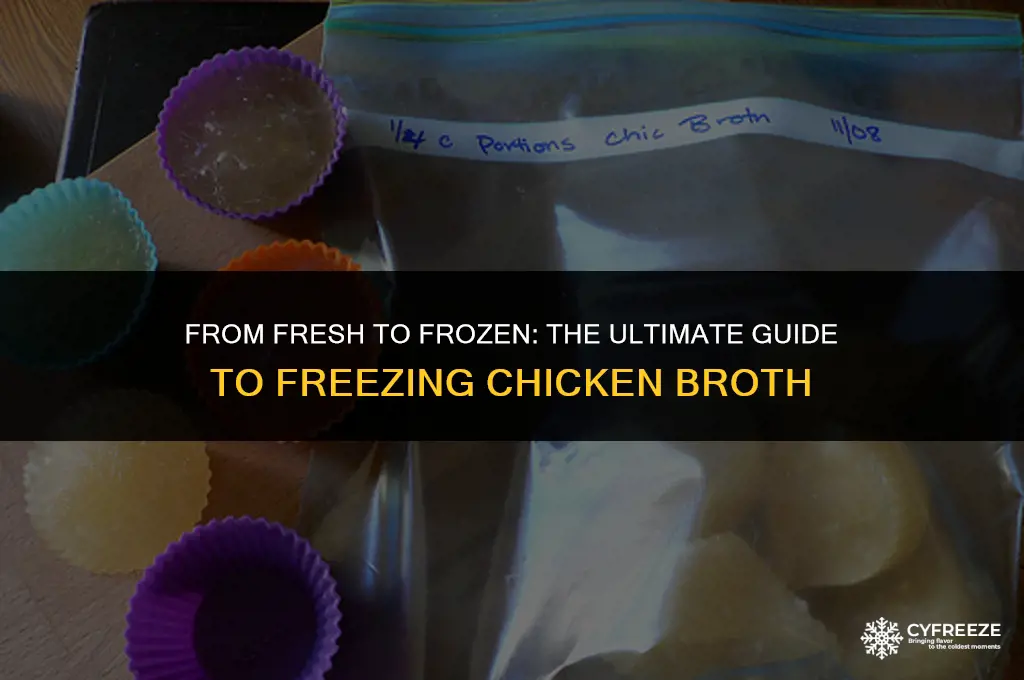can you freeze fresh chicken broth