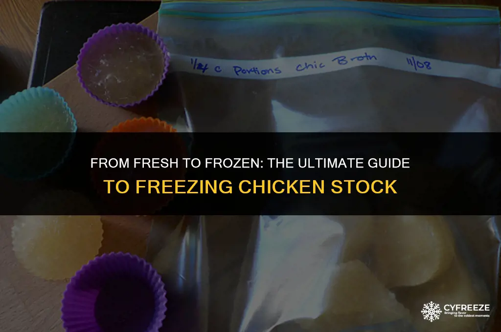 can you freeze fresh chicken stock