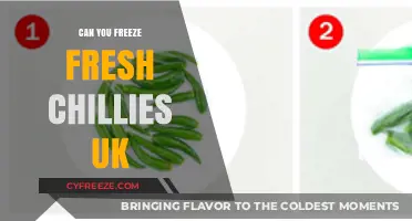 Preserve the Heat: A Guide to Freezing Fresh Chillies in the UK