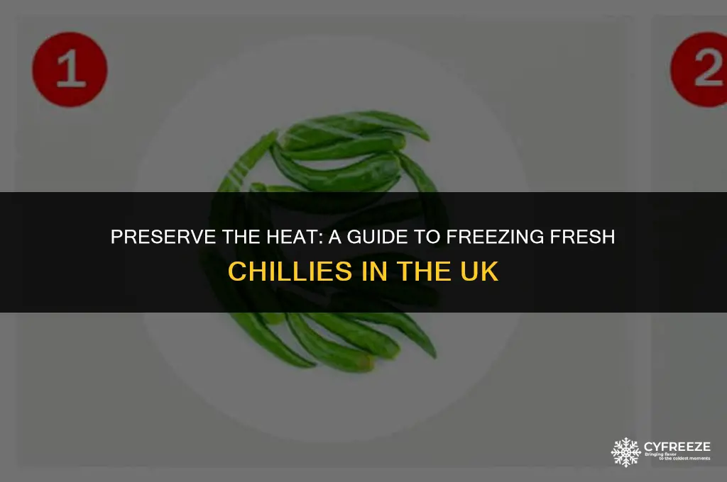 can you freeze fresh chillies uk