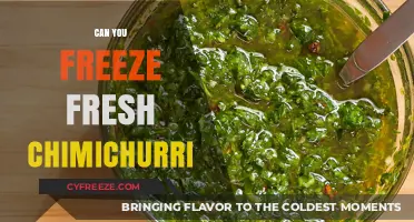 Preserve the Flavor: Freezing Fresh Chimichurri Sauce