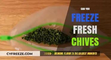 Preserve the Flavor: A Guide to Freezing Fresh Chives