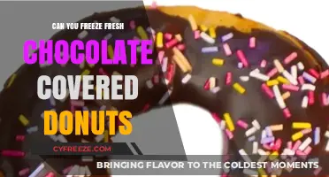 Sweet Treats: The Ultimate Guide to Freezing Fresh Chocolate-Covered Donuts