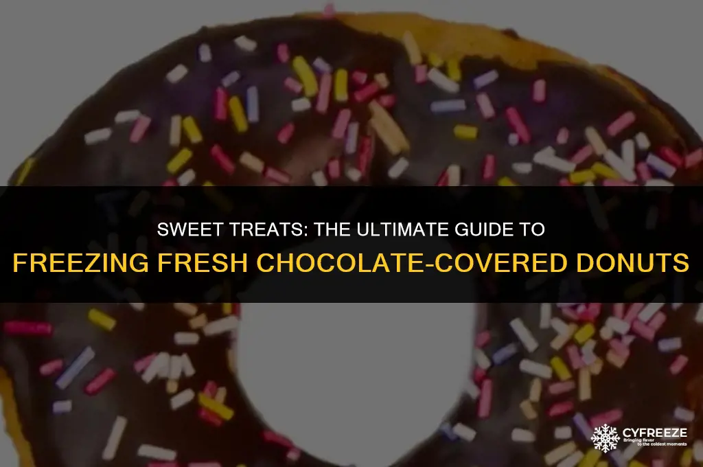 can you freeze fresh chocolate covered donuts