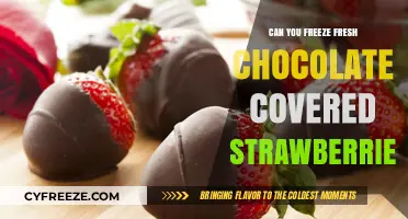 Sweet Treats: The Ultimate Guide to Freezing Chocolate-Covered Strawberries