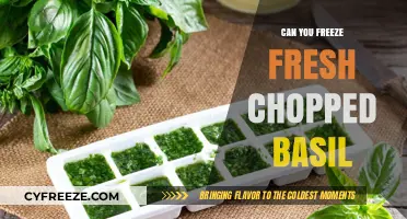 Preserve Freshness: The Ultimate Guide to Freezing Chopped Basil