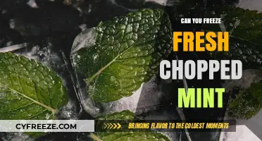 Preserving Freshness: The Ultimate Guide to Freezing Chopped Mint