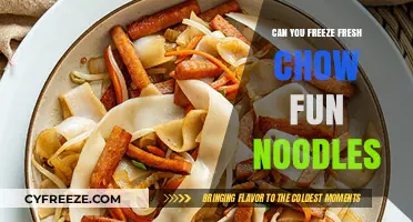 Preserving Freshness: The Ultimate Guide to Freezing Chow Fun Noodles