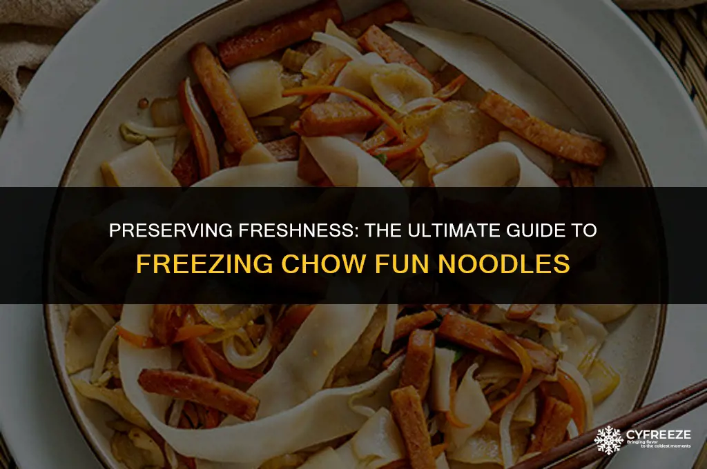 can you freeze fresh chow fun noodles