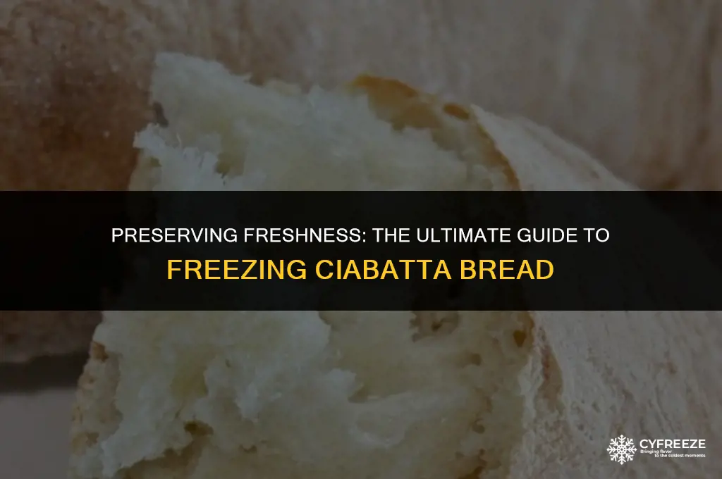 can you freeze fresh ciabatta bread