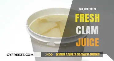 Preserving Fresh Clam Juice: A Comprehensive Freezing Guide