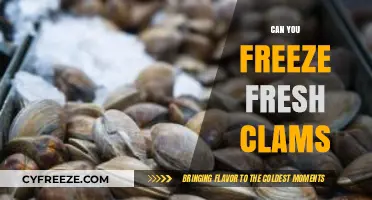 Fresh Clams: The Ultimate Guide to Freezing and Preserving