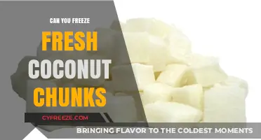 Chill Your Cravings: The Ultimate Guide to Freezing Fresh Coconut Chunks