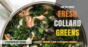 Preserve the Freshness: A Guide to Freezing Collard Greens