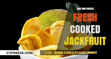 Exploring the Best Ways to Freeze Fresh Cooked Jackfruit