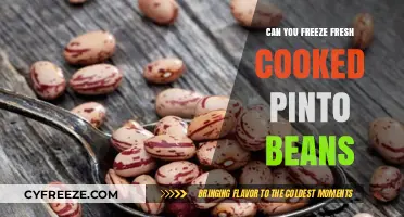 Freezing Freshly Cooked Pinto Beans: A Handy Guide