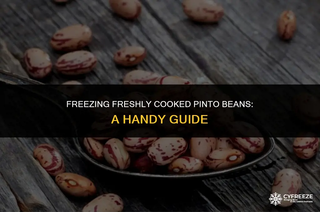 can you freeze fresh cooked pinto beans