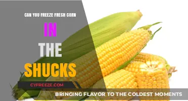 Preserve Summer's Bounty: Freezing Fresh Corn in the Shucks